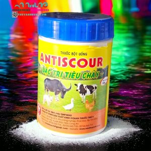 Minh Huy Anti Scour - Tiêu chảy Lon 100gr - Lon