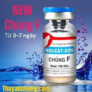 Vaccine Navetco - Newcatsle F (chủng F) - lọ 100 liều
