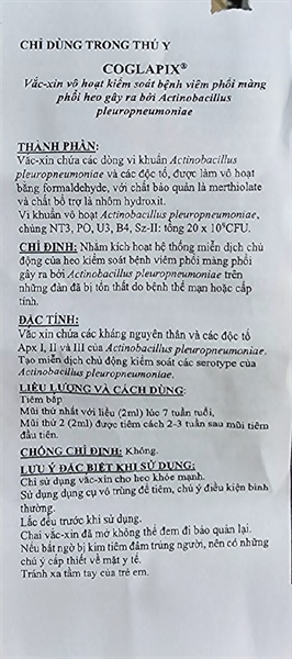 CEVA COGLAPIX 50 Liều - APP - Lọ 50 liều - Ảnh 3