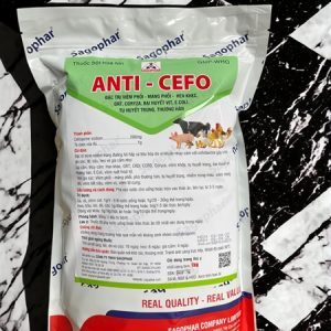 Alternative view of SAGOPHAR ANTI CEFO - Cefotaxime 20% - 1kg - Gói 10in1