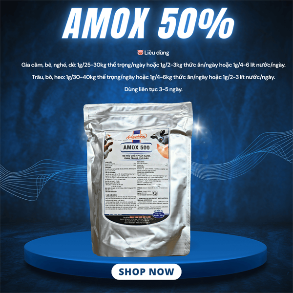 Á CHÂU AMOX 500 - 1kg - Gói 10in1 - Ảnh 3