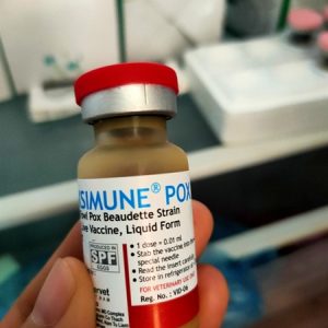Vaccine Tigervet Vaksimune Pox (ĐẬU GÀ) - 500 Liều