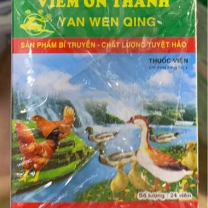 Viên Ôn Thanh - Lốc 25 vỉ