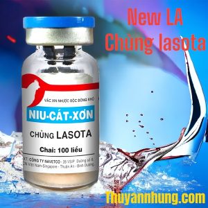 Vaccine Navetco - Newcastle LA (Chủng Lasota) - Lọ 100 liều