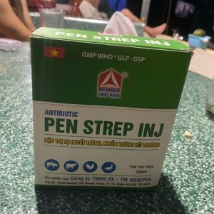Alternative view of Mebipha Pen Strep 250ml - Hộp
