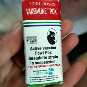 Alternative view of Vaccine Tigervet Vaksimune Pox (ĐẬU GÀ) - 500 Liều