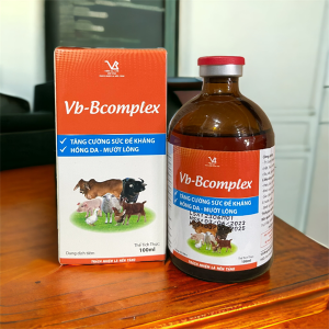 Alternative view of VB Bcomplex - Lọ 20ml