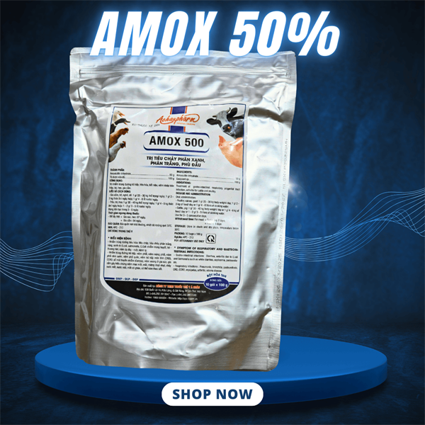 Á CHÂU AMOX 500 - 1kg - Gói 10in1