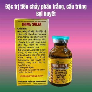 Alternative view of Goovet Trime Sulfa 20ml - Phân trắng, cầu trùng - Lọ 20ml