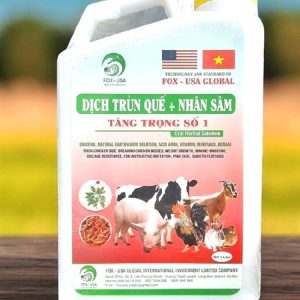 SUMI DỊCH TRÙN QUẾ + NHÂN SÂM (Tăng trọng số 1) - 1 lít - Can