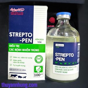Á CHÂU STREPTO PEN LA (HD) - Lọ 100ml