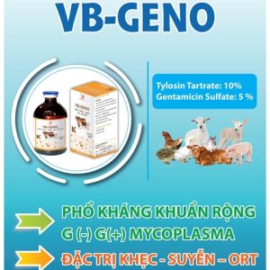 Alternative view of VB GENO ( GENTA TYLO) - Chai 100ml
