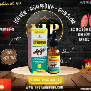 Sagophar Chymotrysin Gà đá 20ml - Chai 20ml