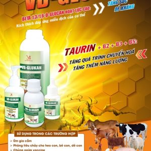 VB GLUCAN (tăng lực, Beta 1,3/1,6‐D) 1 lít - Can