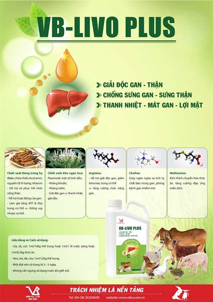 VB LIVO PLUS 1 Lít - Can - Ảnh 4