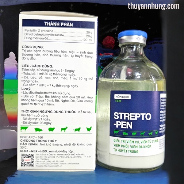 Á CHÂU STREPTO PEN LA (HD) - Lọ 100ml - Ảnh 3