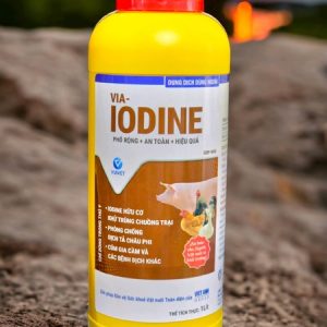 VIA IODINE 1 Lít - Chai