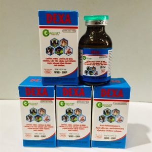 Alternative view of Goovet Dexa 20ml - Lọ 20ml