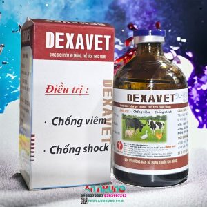 Minh Huy DEXAVET 100ml - Lọ