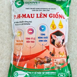 GOOVET MAU LÊN GIỐNG - Gói 1kg
