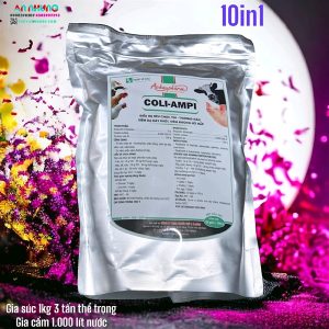 Á Châu COLI AMPI - Gói 100gr
