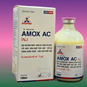 Alternative view of SAGOPHAR AMOX AC (AMOX CLAV) - TRẮNG - CHAI 100ML