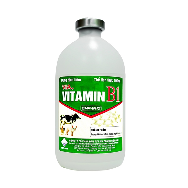 Viavet Vitamin B1 100ml - Lọ