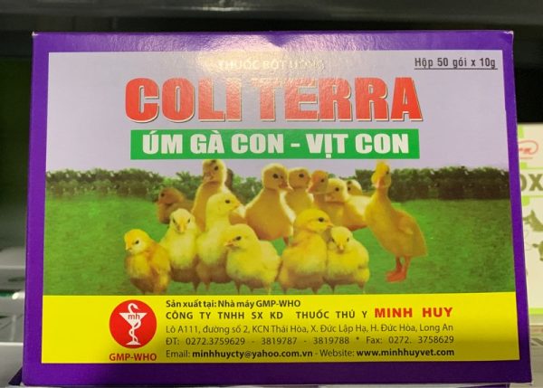 Minh Huy Coli Tetra 10gr - Hộp 50 gói