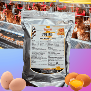 Á Châu Sol Egg 1kg - Tăng trứng, kích trứng - 1kg ( 10 trong 1)