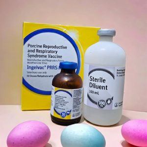 Vaccine Boehringer - PPRS - Tai Xanh - Lọ 10 liều