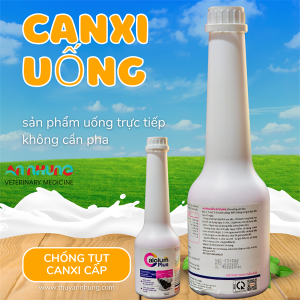 Alternative view of Á CHÂU CALCIUM PLUS 500ml - Chai 500ml
