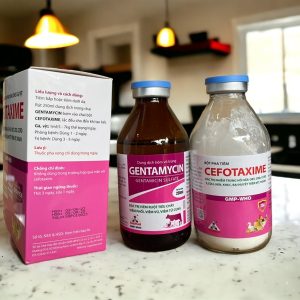 Alternative view of SAGOPHAR CEFOTAXIM + GENTAMYCIN (cặp tiêm Vịt, gà) - Cặp 250ml