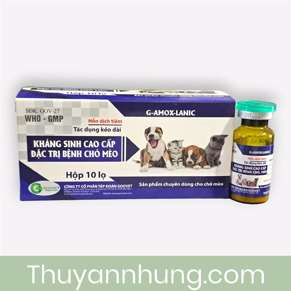 Goovet Kháng sinh cao cấp (Chó, Mèo) 10ml - lọ - Ảnh 3