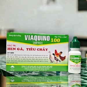 Alternative view of VIAVET Quino 100 (Hen Gà, Tiêu chảy) Oral 10ml - Hộp 10 lọ