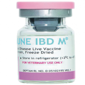 Alternative view of Vaccine Tigervet Vaksimune IBD M - GUMBORO - lọ 1.000 liều