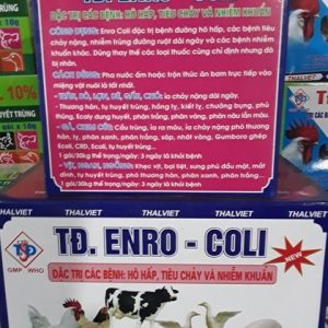 Alternative view of TD Enrocolivit 10gr - Hộp 50 gói