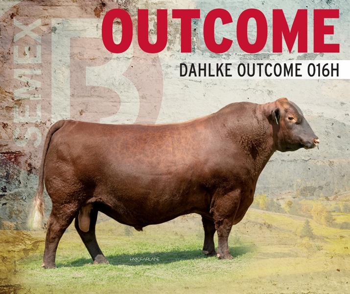 Red Angus Payload (Cọp) - 0200AR20727 - Canada - Trắng nhỏ