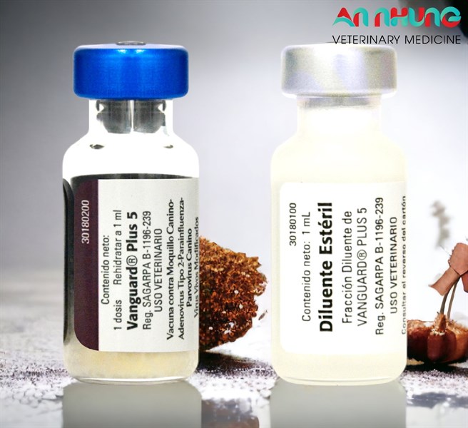 Vaccine Zoetis VanGuard Plus - 5 bệnh chó - Ảnh 3