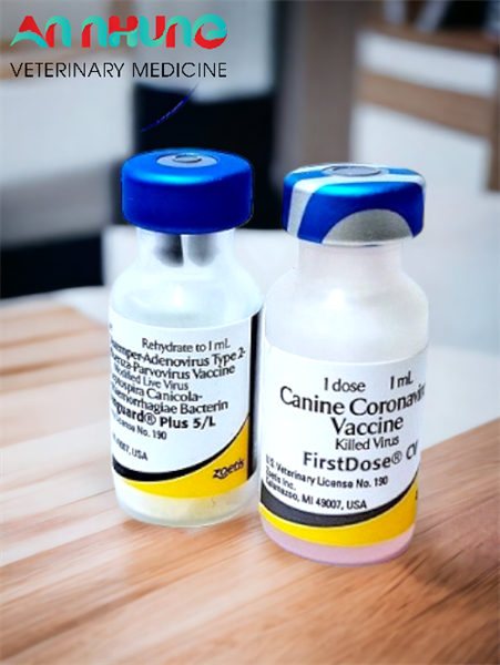 VACCINE ZOETIS VANGUARD PLUS 5 CVL- 7 bệnh chó - Ảnh 2