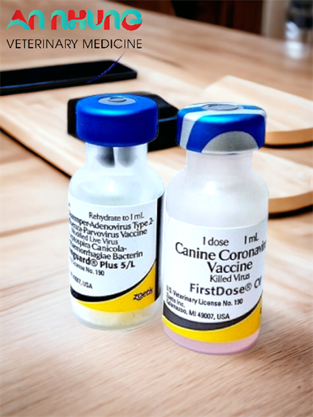 VACCINE ZOETIS VANGUARD PLUS 5 CVL- 7 bệnh chó - Ảnh 5