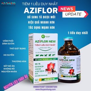 GOOVET AZIFLOR NEW - Đặc trị hô hấp 1 liều duy nhất