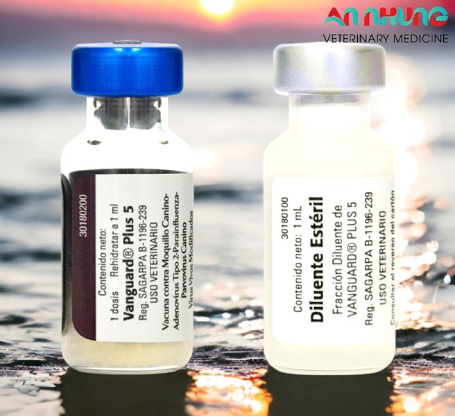 Vaccine Zoetis VanGuard Plus - 5 bệnh chó - Ảnh 4