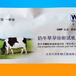 Que thử thai Trâu, Bò - cái