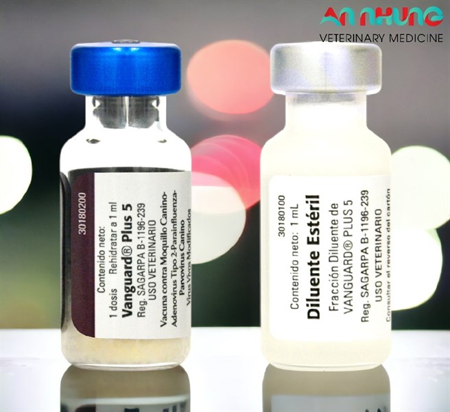 Vaccine Zoetis VanGuard Plus - 5 bệnh chó - Ảnh 2