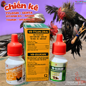 Alternative view of VB CHIẾN KÊ - TYLAN ORAL (Gentatylo + Glukan) -🔥 Hỗ Trợ Hô Hấp, Tiêu Hóa, Tăng Lực, Tăng Đề Kháng Cho Chiến Kê🔥