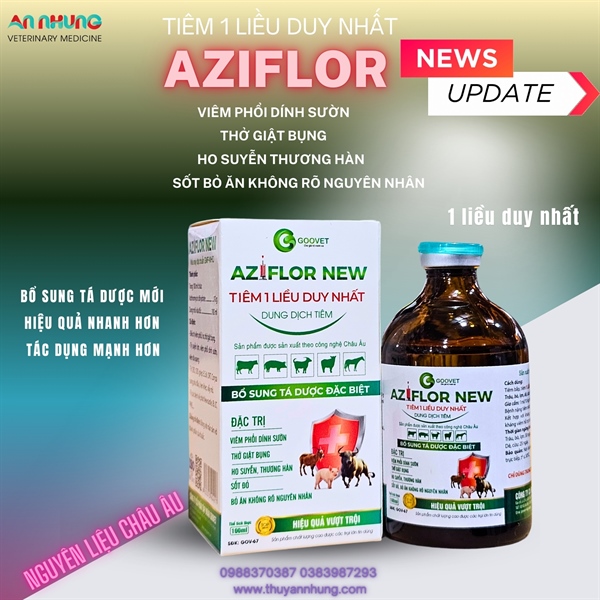 GOOVET AZIFLOR NEW - Đặc trị hô hấp 1 liều duy nhất - Ảnh 5