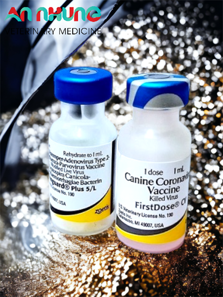 VACCINE ZOETIS VANGUARD PLUS 5 CVL- 7 bệnh chó - Ảnh 3