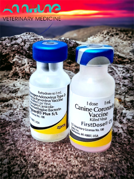 VACCINE ZOETIS VANGUARD PLUS 5 CVL- 7 bệnh chó - Ảnh 4