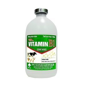 Viavet Vitamin B1 100ml