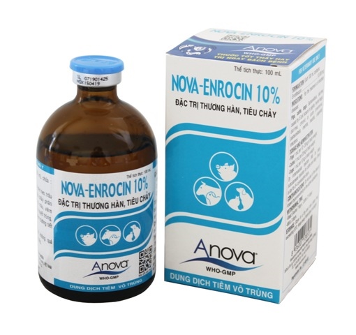 ANOVA ENROCIN 10%